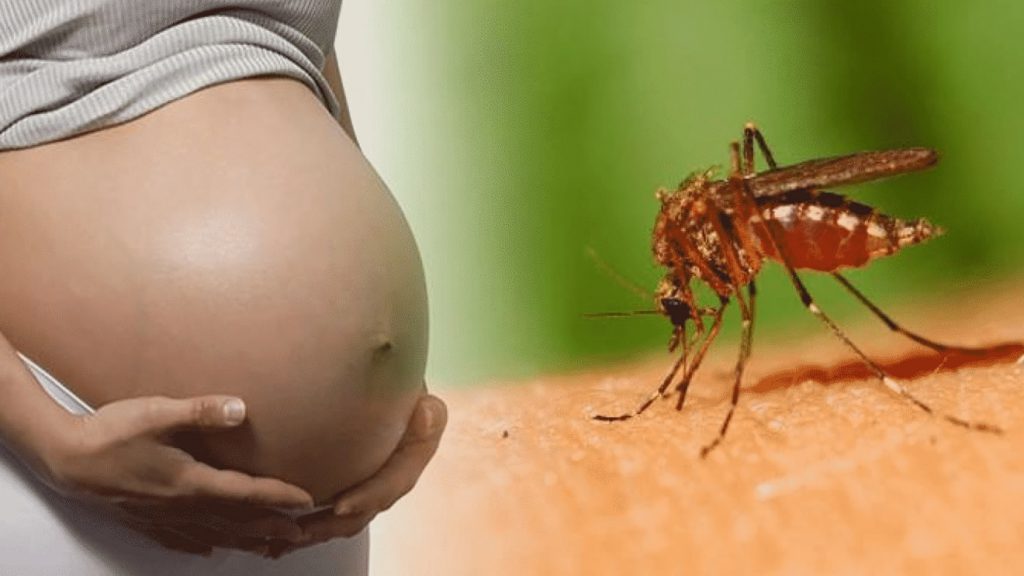 Zika