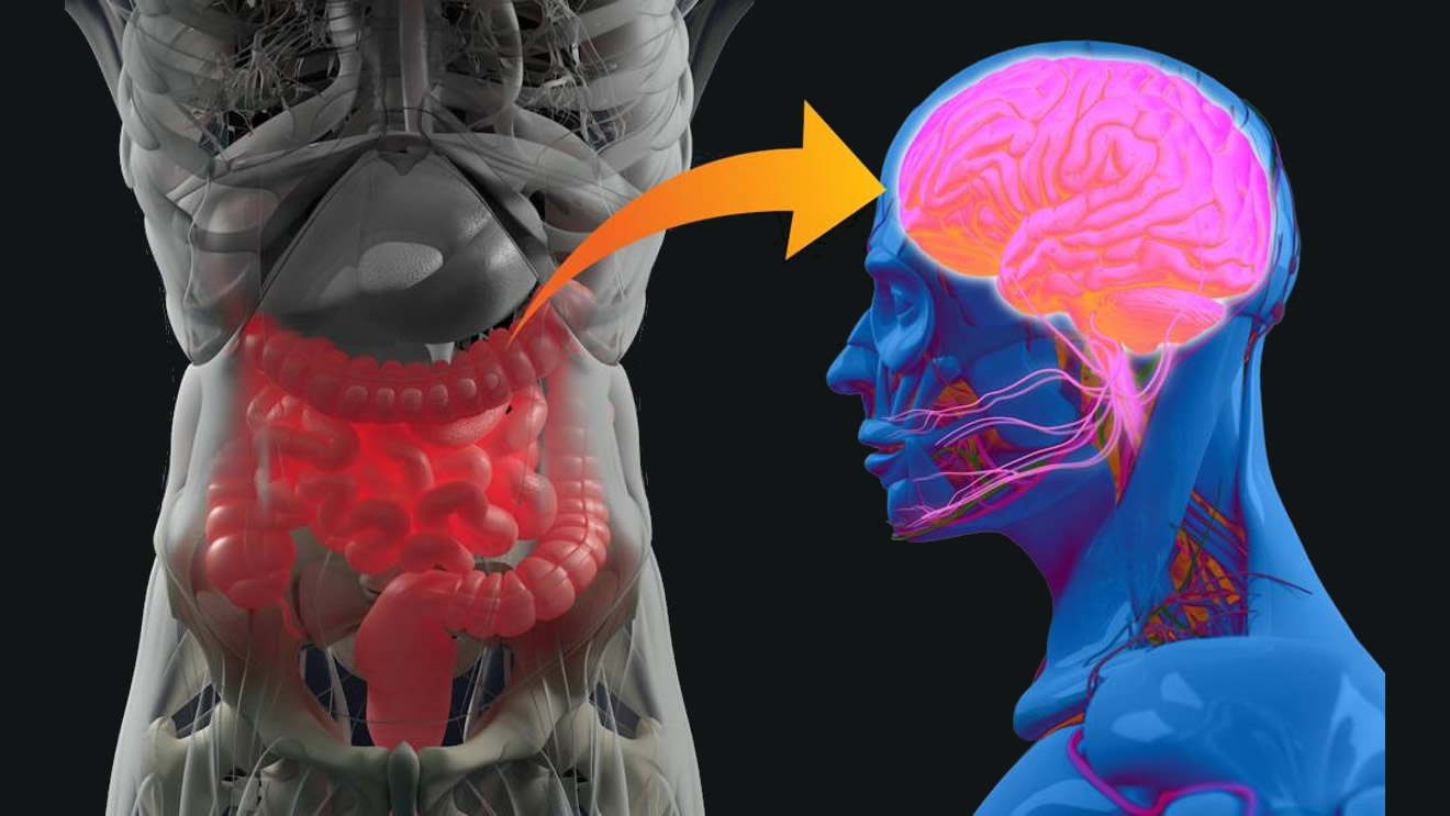 Microbiota