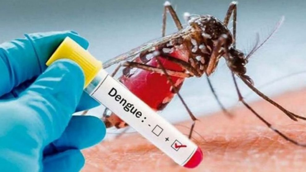 Dengue