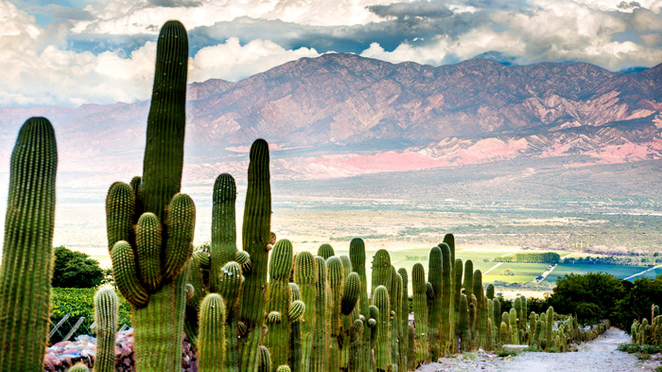 Cafayate - Salta