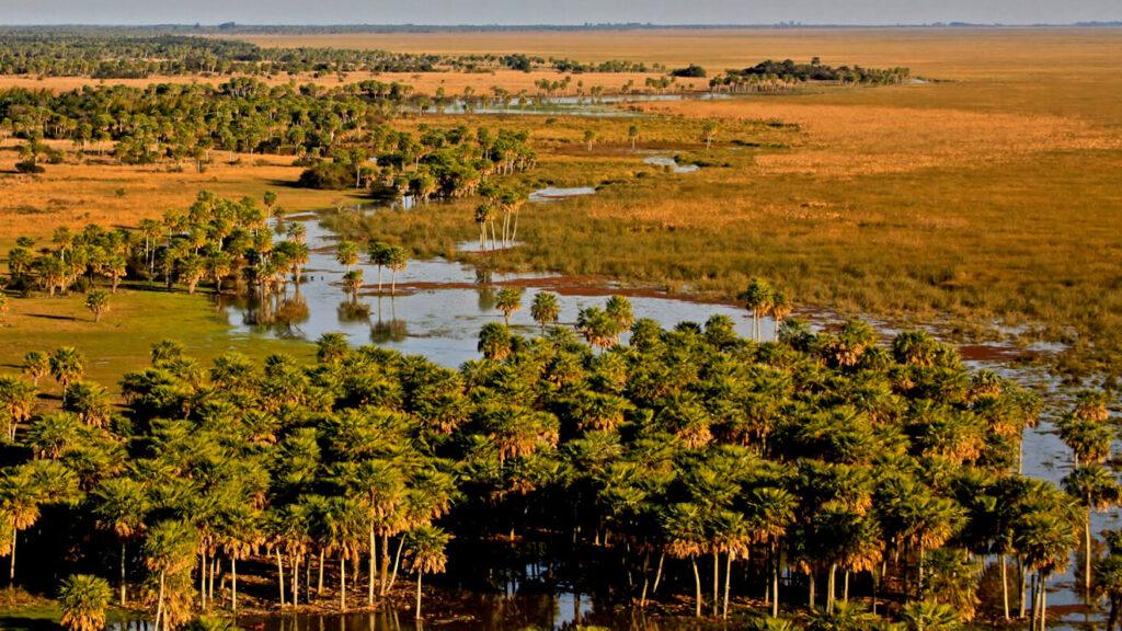 Esteros del Iberá: el segundo humedal más grande del mundo redobla su apuesta turística Esteros del Iberá
