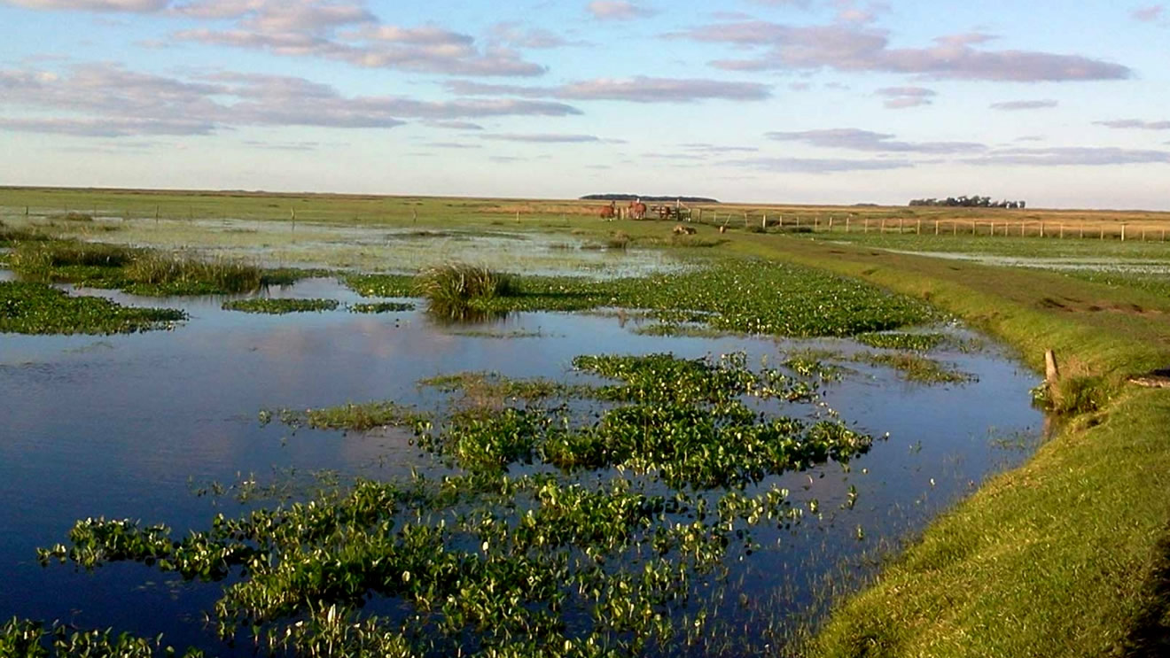 Esteros del Iberá