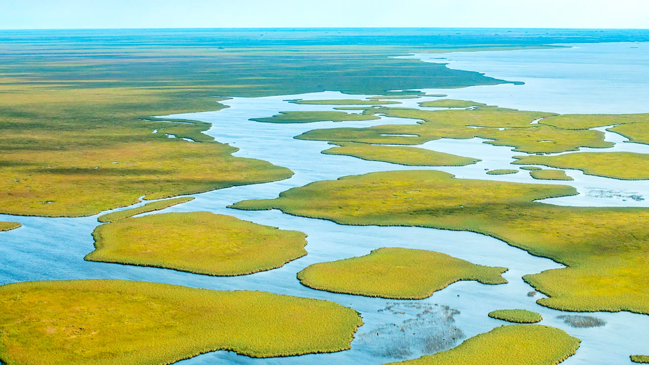 Esteros del Iberá