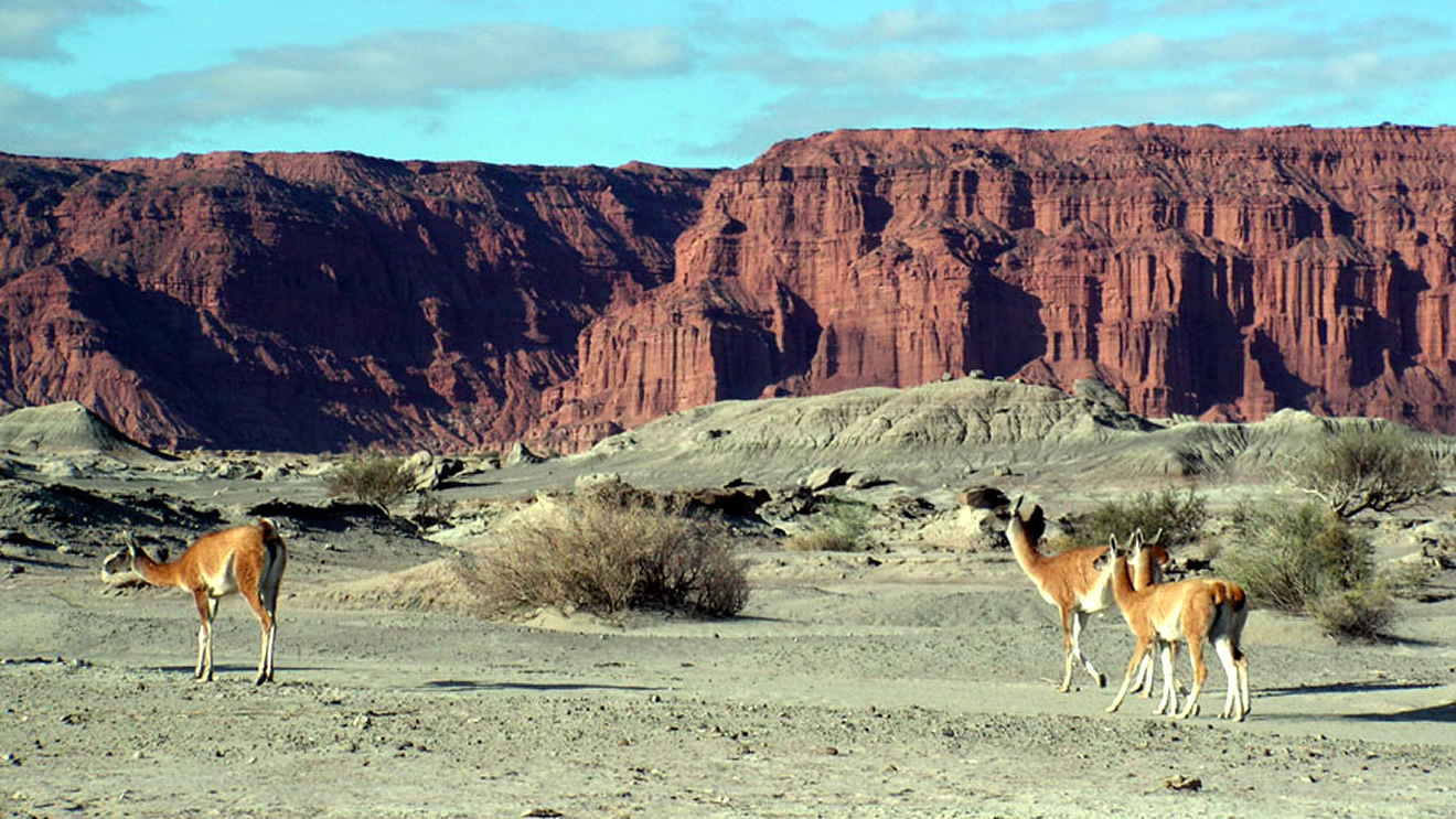 Ischigualasto
