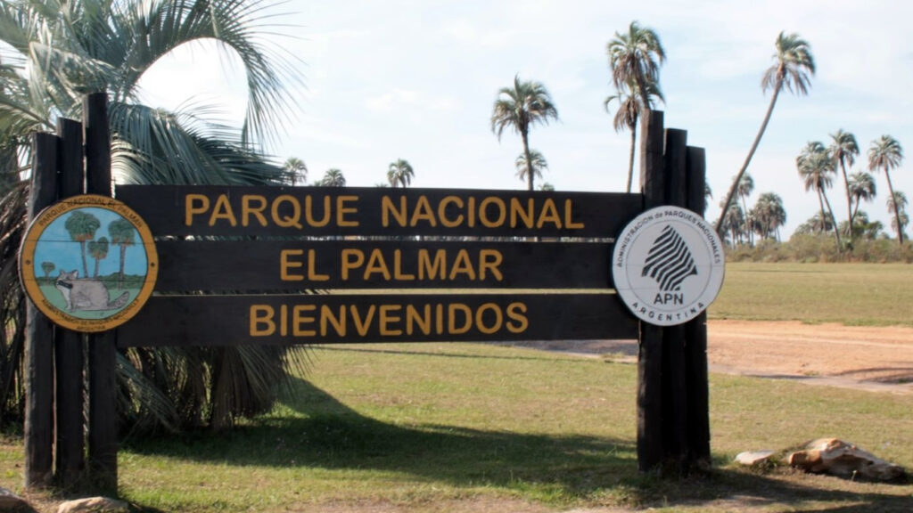 El Palmar