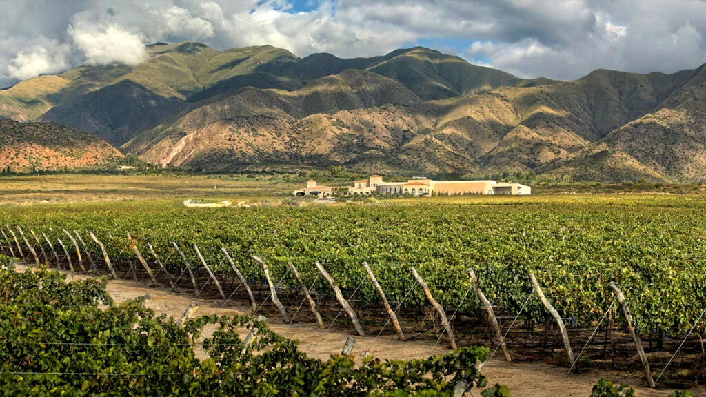 La región vitivinícola de Salta: Vinos de altura y paisajes espectaculares Vino Salteño