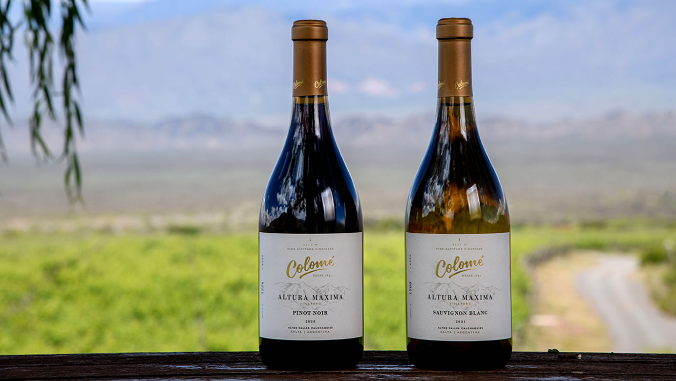 Vinos Colomé